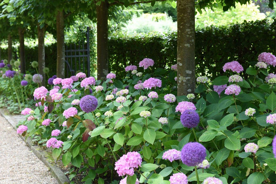 alleen-blog-header-claus-dalby