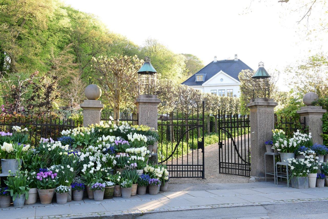 claus-dalby-driveway