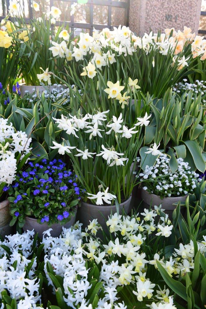 container-garden container-garden